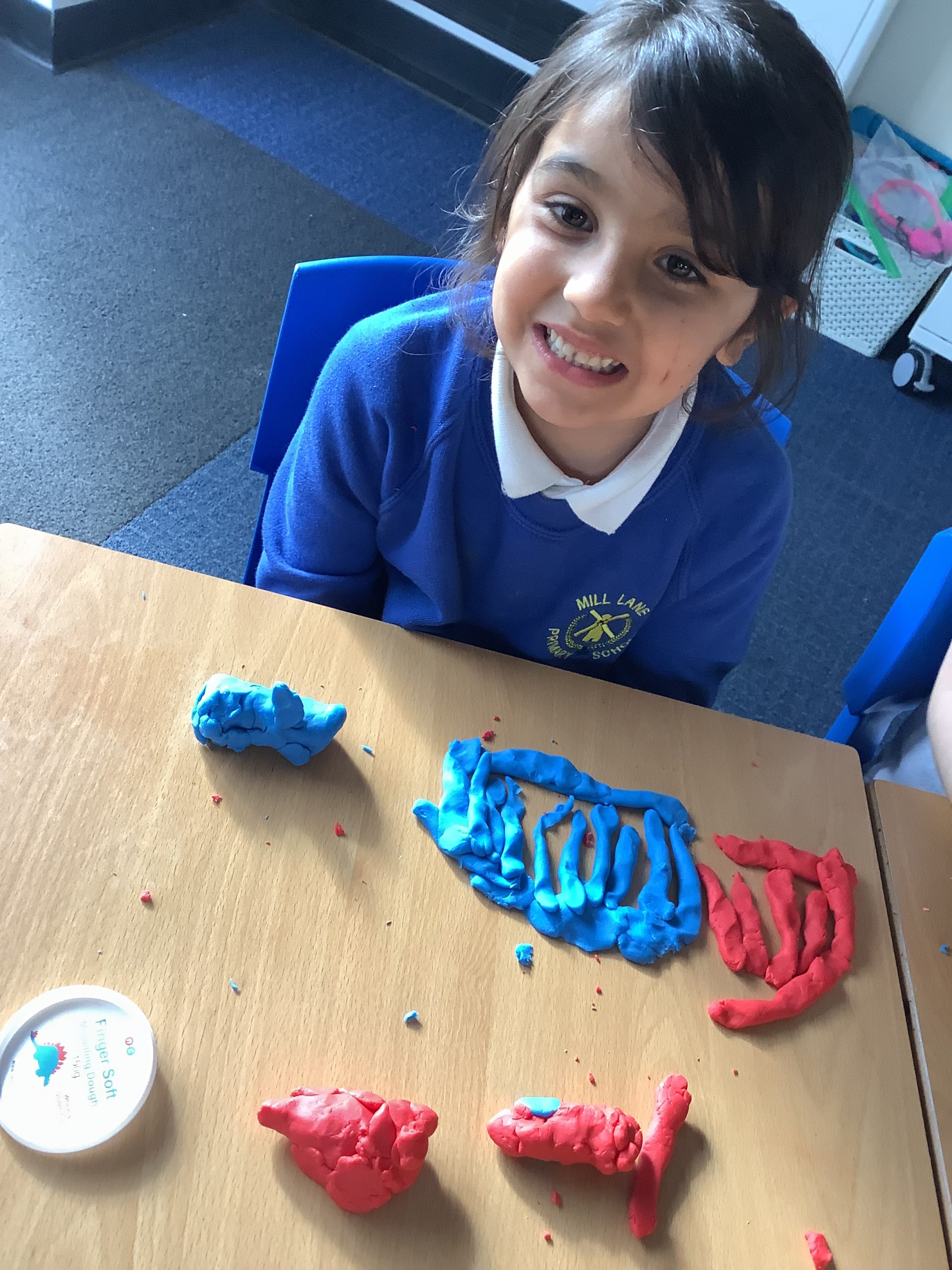 Year 1 Mill Lane Primary